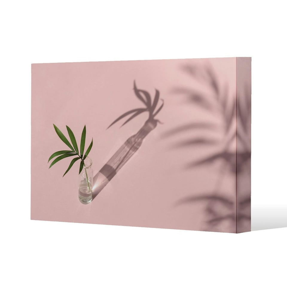 image 1 of Botanical leaf on pink (Canvas Print)