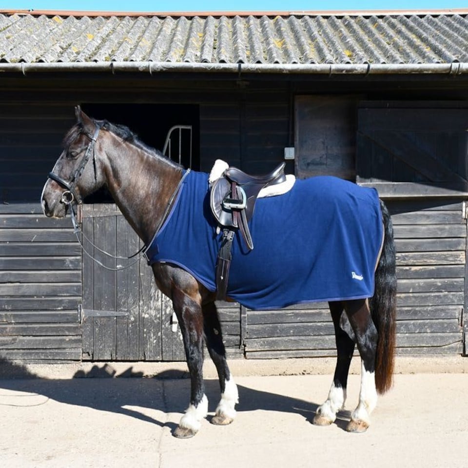 image 1 of Rhinegold Fixed Chest Fleece Ride On Rug Blue | Size: 6ft 3
Colour: Navy