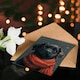 image 4 of Cute Black Labrador Pet Dog Puppy Red Scarf Child Birthday Card