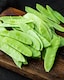 image 1 of Oregon Sugar Pod Pea Seed Packet - Sweet Crunchy Edible Pods - High Yield Easy Grow Disease Resistant