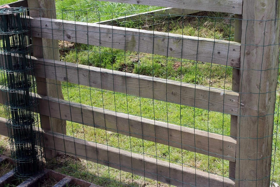 image 1 of Actiasgear – 10m Green Garden Wire Fence Roll | PVC-Coated Galvanised Steel Mesh (120cm High, 100mm x 75mm Mesh, 2mm Wire)
