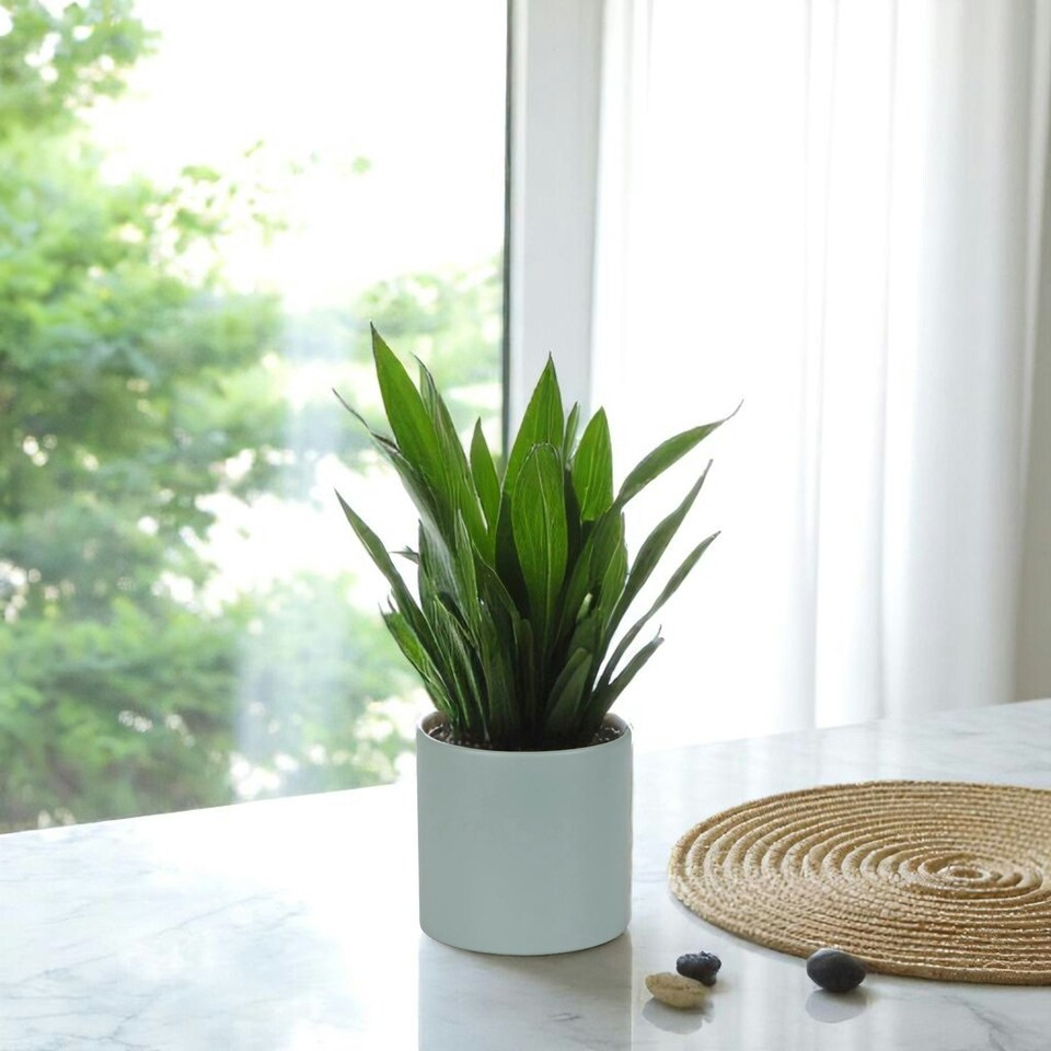 image 1 of Matte Grey Ceramic Indoor Plant Pot H13 x W13.5cm Grey