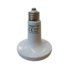 Intelec Infra-Red Heat Bulb - White - One Size