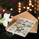 image 4 of Lorenz Oken Art Card Different Species Bird Eggs