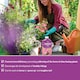 image 5 of Vitax Seaweed Plus with Sequestered Iron 500ml Liquid Fertiliser for Acid-Loving Plants Lawns & Garden Growth Tonic