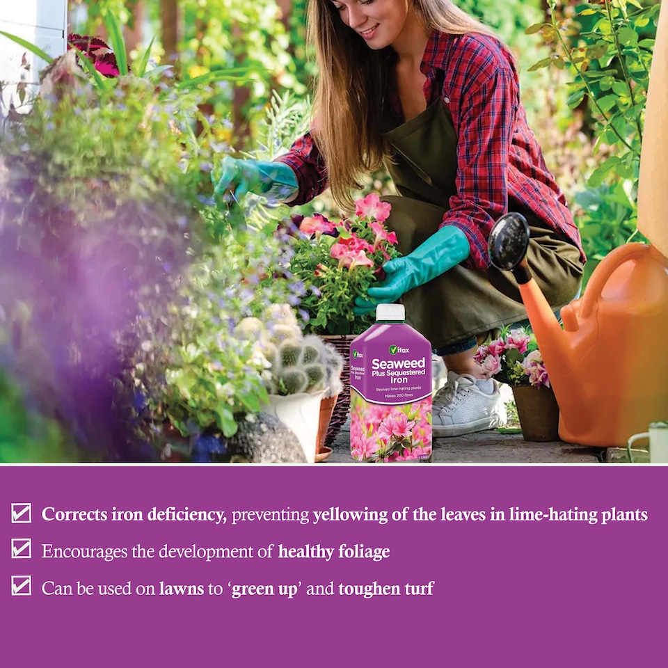 image 1 of Vitax Seaweed Plus with Sequestered Iron 500ml Liquid Fertiliser for Acid-Loving Plants Lawns & Garden Growth Tonic