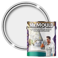 MR MOULD - Anti-Mould Paint - Premium Colour & Protection for Interior Walls & Ceilings - Light Grey - 1L