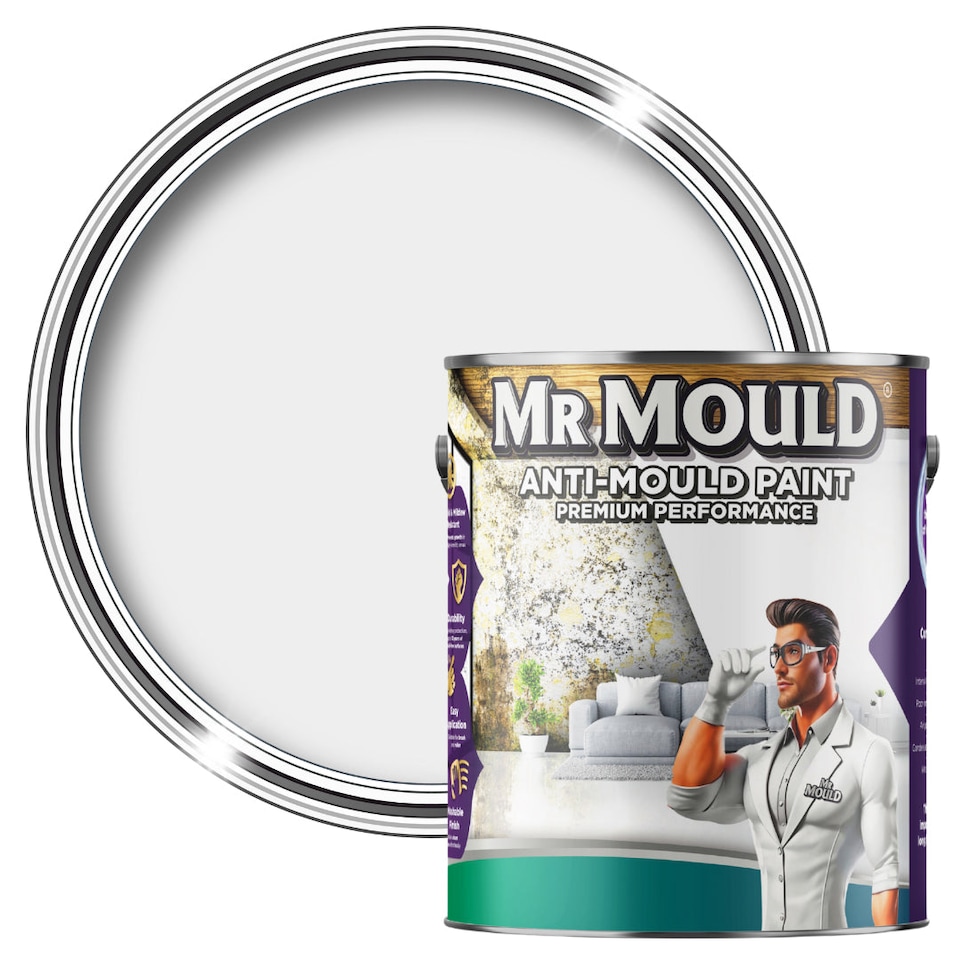 image 1 of MR MOULD - Anti-Mould Paint - Premium Colour & Protection for Interior Walls & Ceilings - Light Grey - 1L