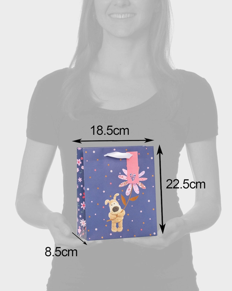 image 1 of Multipack of 3 Medium Gift Bags