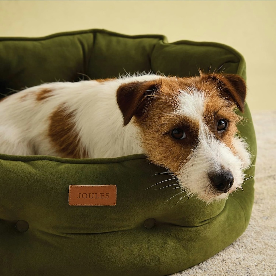 image 1 of Joules Khaki Chesterfield Luxury Dog Bed - Small Green | One Size