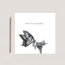 Support Cards