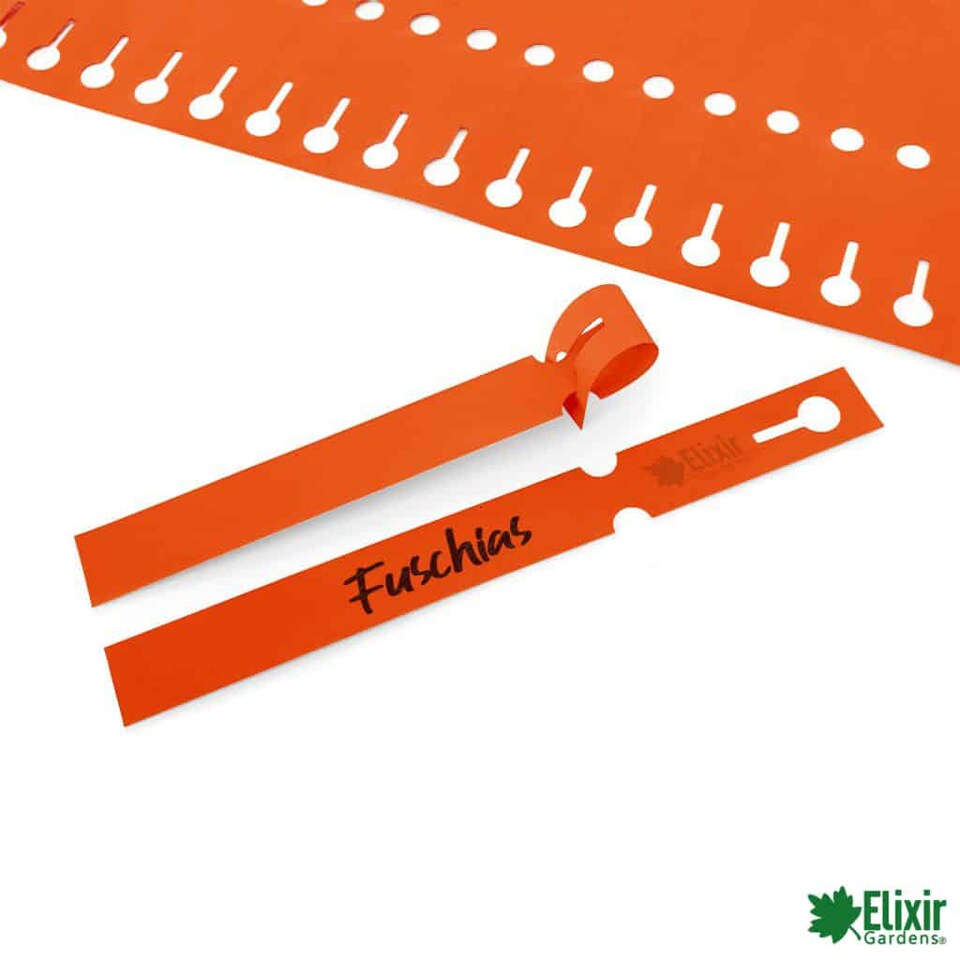 image 1 of Elixir Gardens Loop Lock Plant ID Label | ORANGE | 160mm x 16mm (x 200)