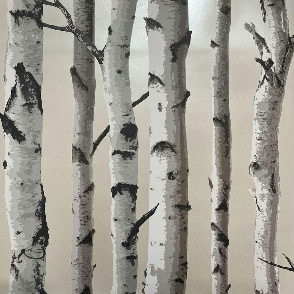 image 1 of Fine Decor Birch Trees Wallpaper - Cream/Silver - One Size Cream