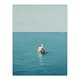image 3 of Open Water Cow Swimming Bathroom Toilet Home Decor Black Framed Wall Art Print A4