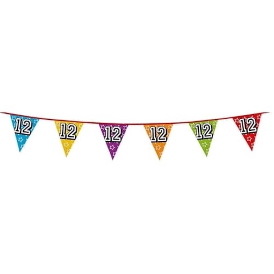 Age 12 Holographic Foil Pennant Bunting 8m