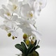 image 3 of Homescapes Artificial White Orchid in Blue Ceramic Pot