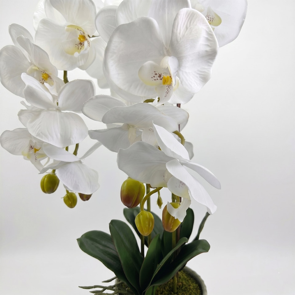image 1 of Homescapes Artificial White Orchid in Blue Ceramic Pot