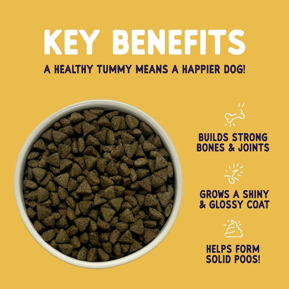 image 1 of Burgess Sensitive Adult Dog Turkey - 12.5KG