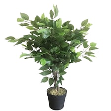 60cm Leaf Realistic Artificial Ficus Tree / Plant | Green | 2ft