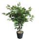 image 1 of 60cm Leaf Realistic Artificial Ficus Tree / Plant | Green | 2ft