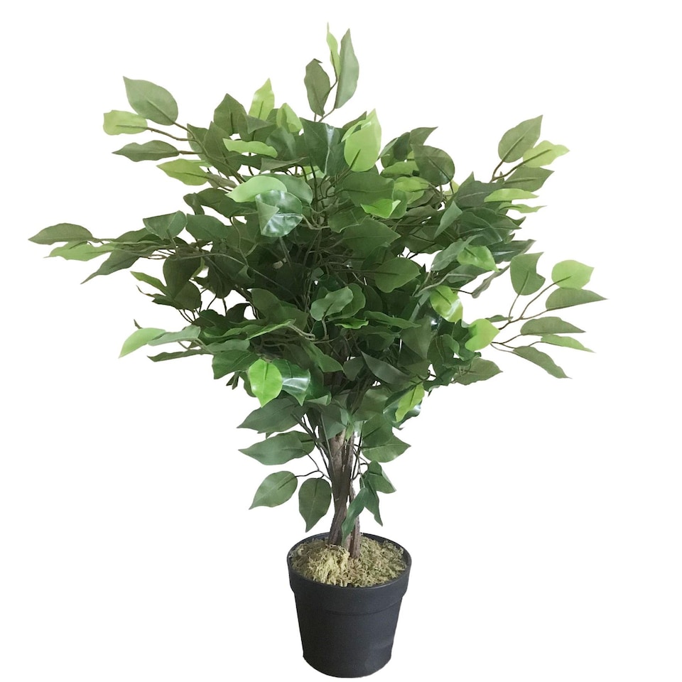 image 1 of 60cm Leaf Realistic Artificial Ficus Tree / Plant | Green | 2ft