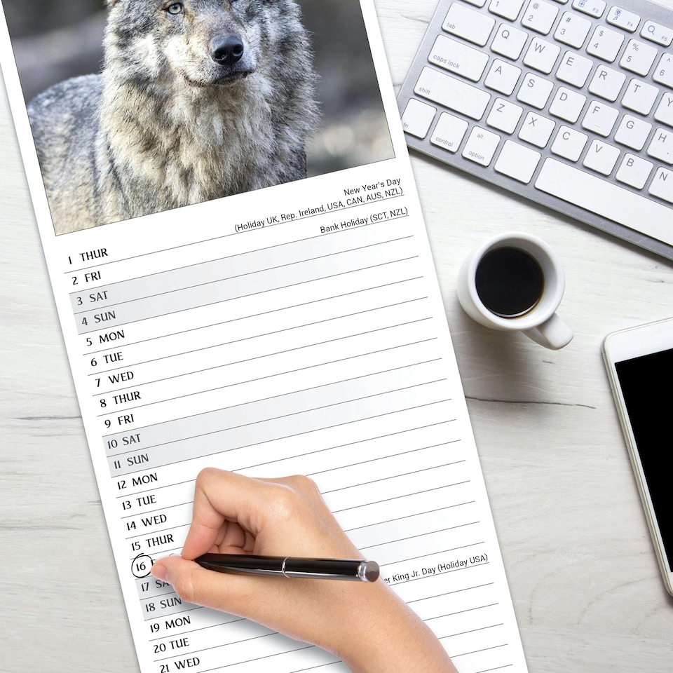 image 1 of Wolves Slim 2026 Calendar | Slimline Wall Calendar | Animal Gift | Plastic Free Packaging | by Avonside Publishing [Calendar] Avonside Publishing Ltd