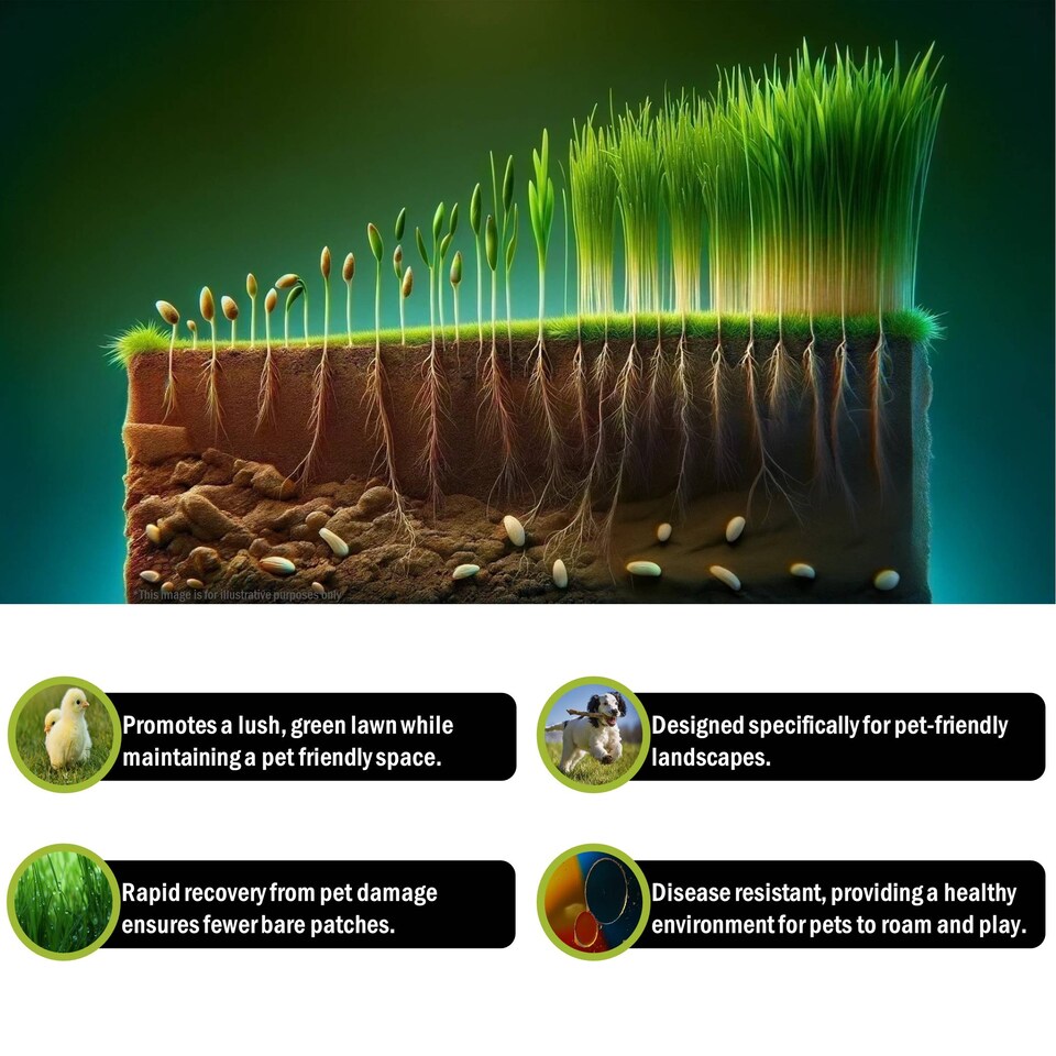 image 1 of Pegdev Pet Friendly Grass Seed Resilient High Yielding for Lawns and Pastures 500g