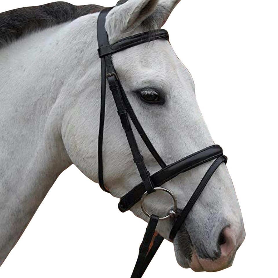 image 1 of Hy Padded Flash Bridle with Rubber Grip Reins - Brown - X-Full