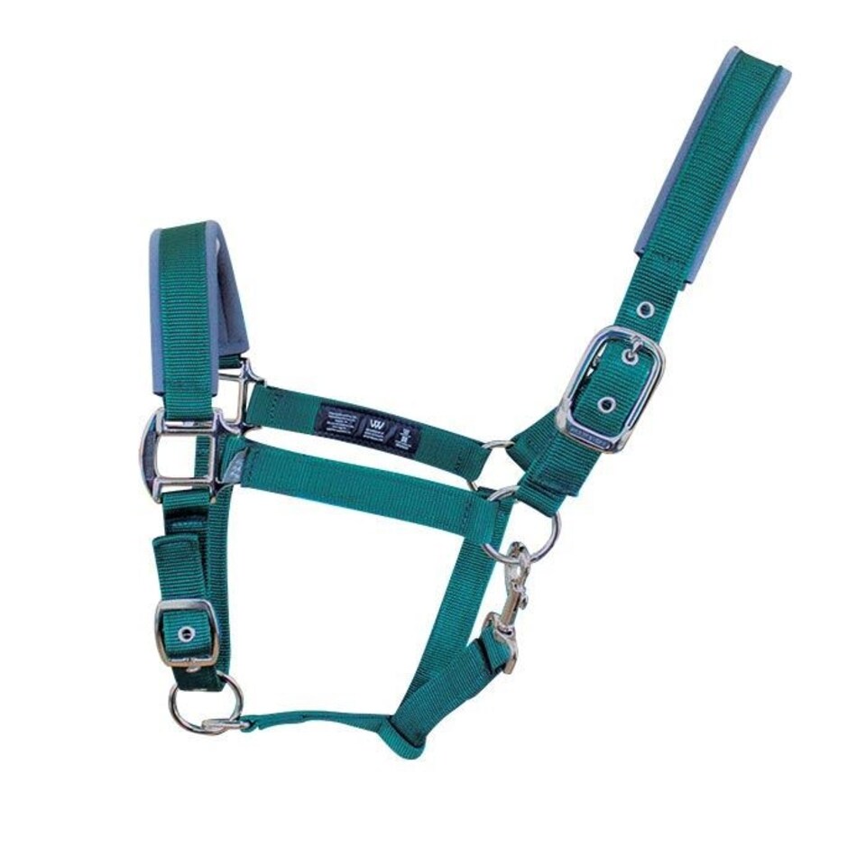 image 1 of Woof Wear Contour Head Collar Blue | Size: Cob
Colour: Shiraz/Navy