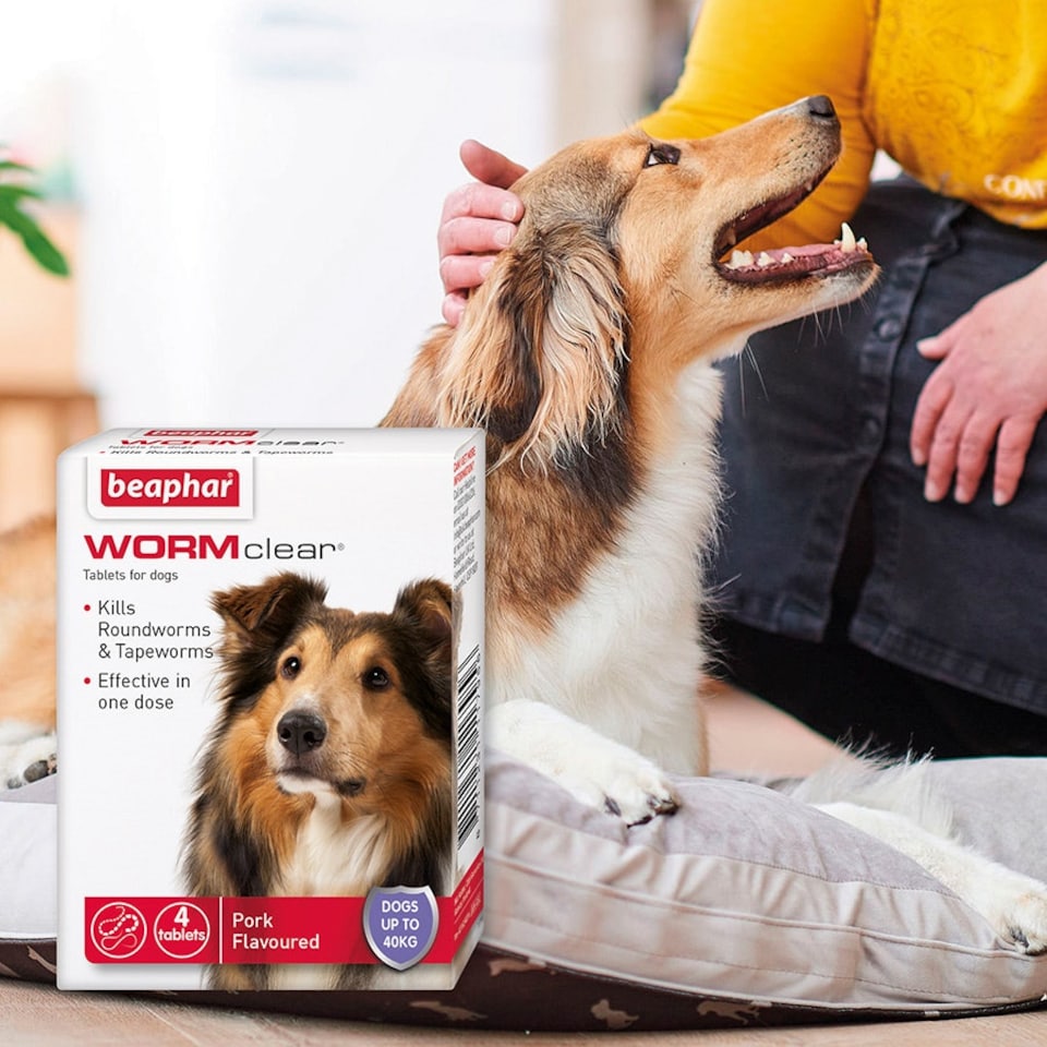 image 1 of Beaphar Wormclear Dog Uptp 40kg 4 Tablets - Pack of 6