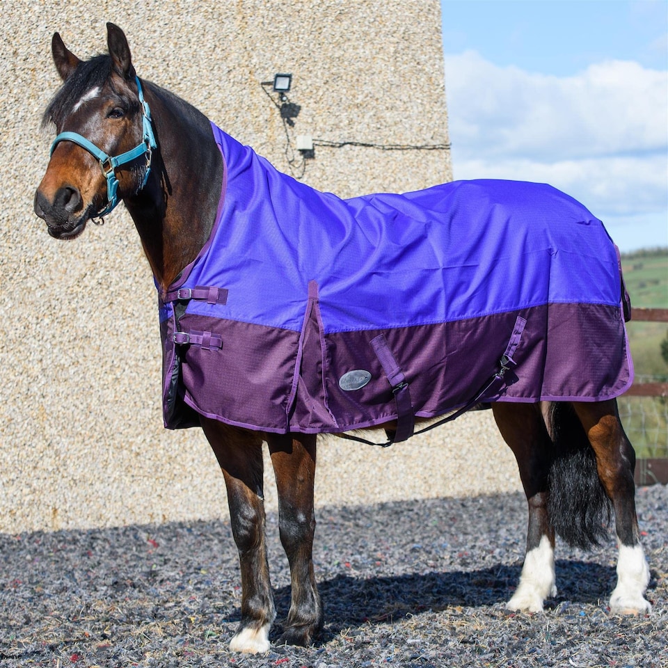 image 1 of eQuitack 600D Waterproof Horse Turnout Rug 0g No Fill Half Neck Purple/Plum 6'6''