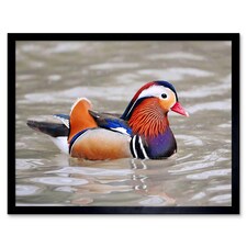 Animal Bird Male Mandarin Duck Home Decor 12x16" Framed Wall Art Print