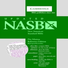 Nasbpittminionreferenceblackgoatskinns186rc