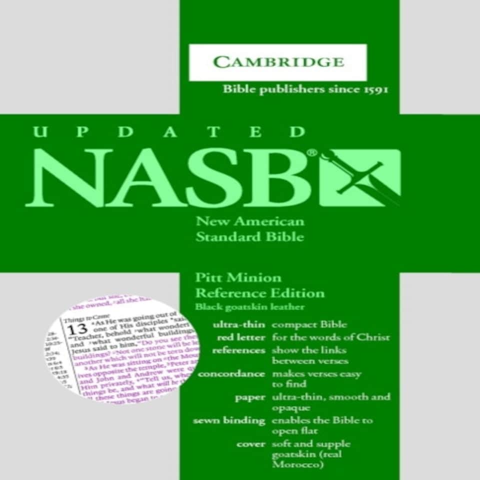 Nasbpittminionreferenceblackgoatskinns186rc