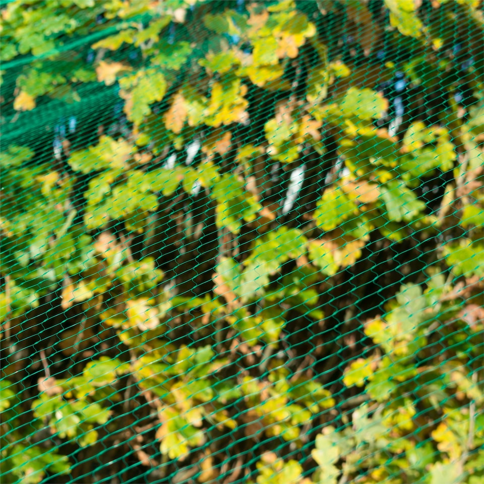 image 1 of KCT 4 x 10m Garden Pond Protective Netting - 6 Pack