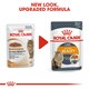 image 10 of ROYAL CANIN® Intense Beauty Care Adult Wet Cat Food N/A | Size: 12 x 85g
Texture: Gravy