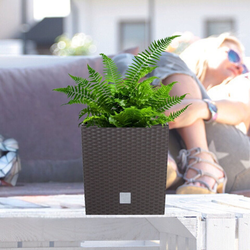 image 1 of 20cm Rato Rattan Design Plant Pots Square -1-2 Pack | Brown | Brown & Set of 1 | 1