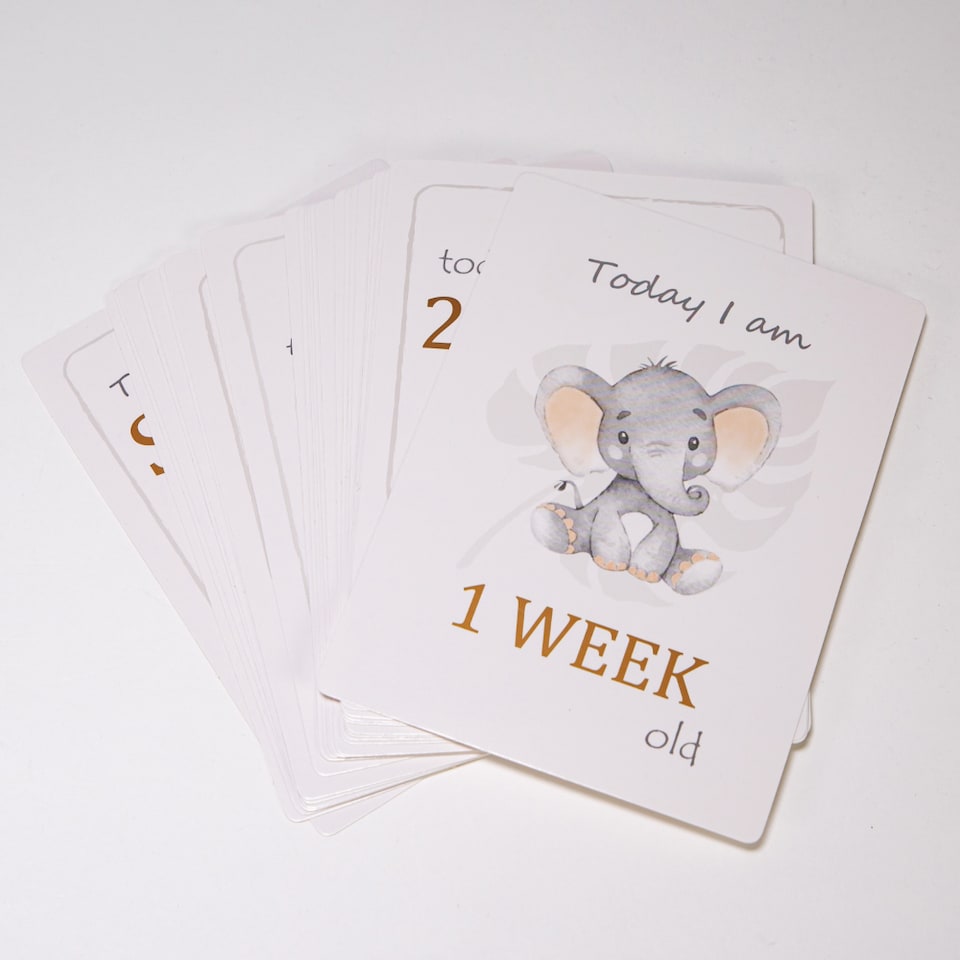 image 1 of Cute Unisex Little ones Elephant Grey Quirky and Fun Set of 24 Milestone Cards