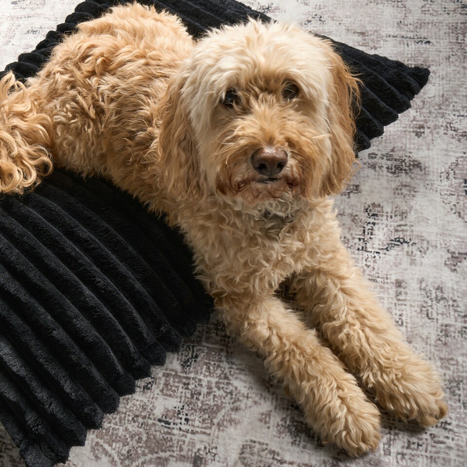 image 1 of OHS Ribbed Fleece Rectangular Soft Warm Cosy Plump Plush Pet Dog Cat Cushion Bed, 80x60cm Black | L