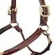 image 7 of LeMieux Stitched Leather Headcollar Brown | Full
