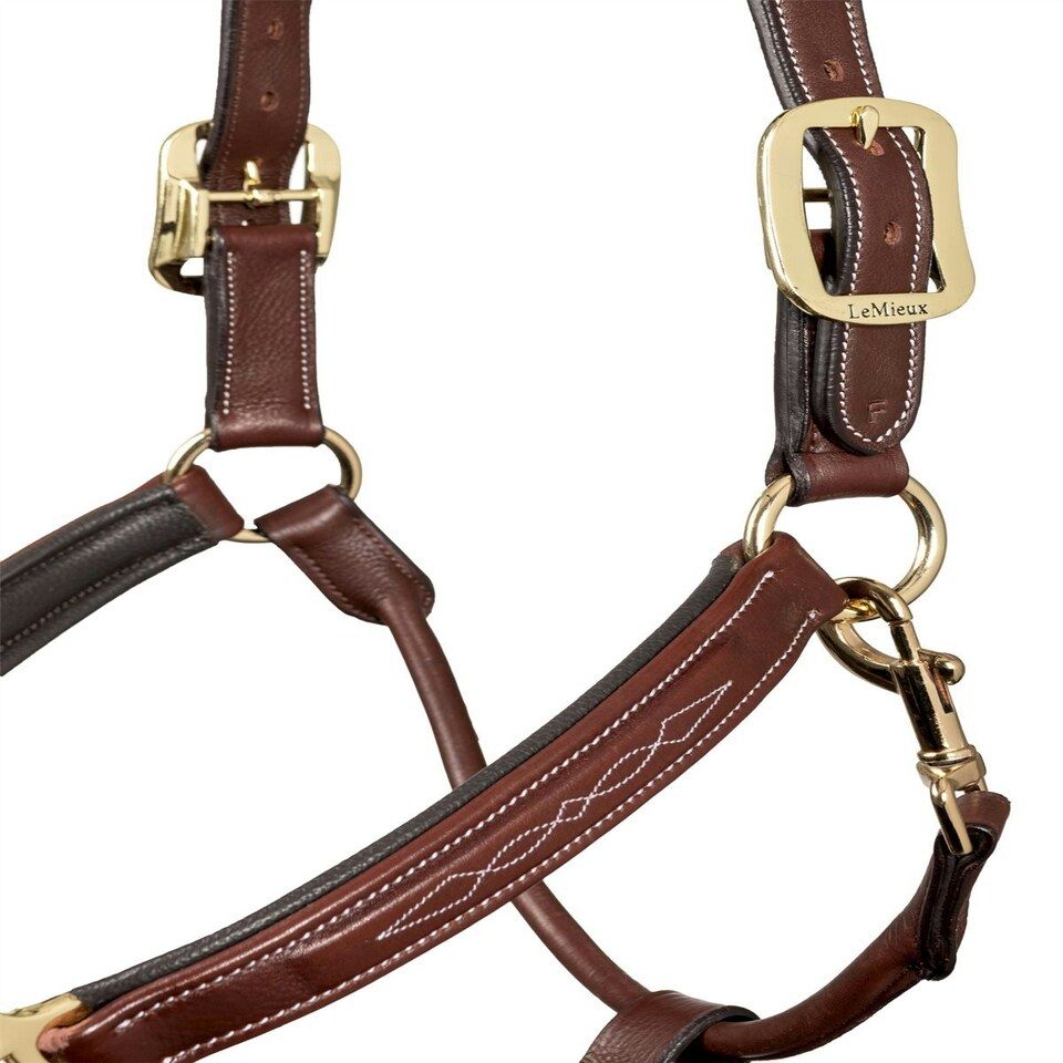 image 1 of LeMieux Stitched Leather Headcollar Brown | Full
