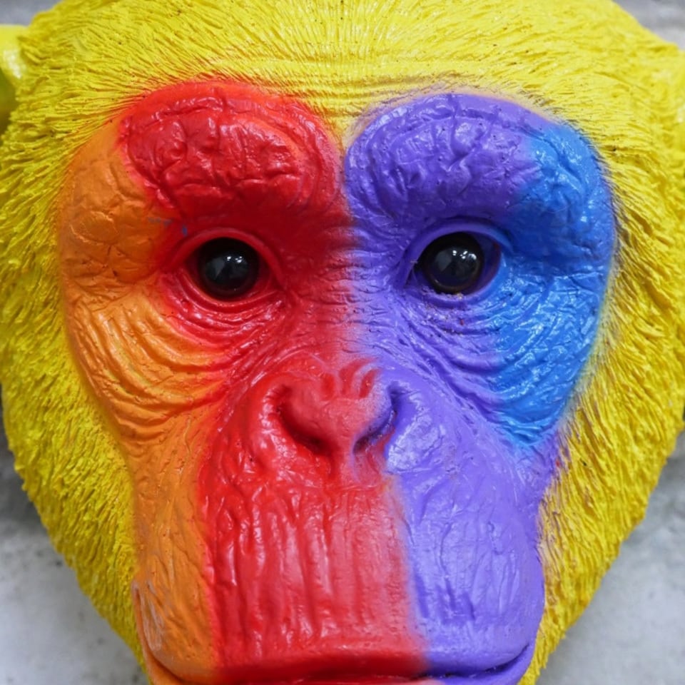 image 1 of Gifts Direct 2 U Rainbow Monkey Head Wall Ornament Multi
