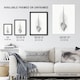 image 3 of Murex Shell Seashell Drawing Haeckel Botanical Wall Art Poster Print 12X16"