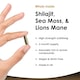 image 5 of Shilajit, Sea Moss & Lion's Mane Capsules - Mood & Anxiety Support - Vegan 120 Capsules