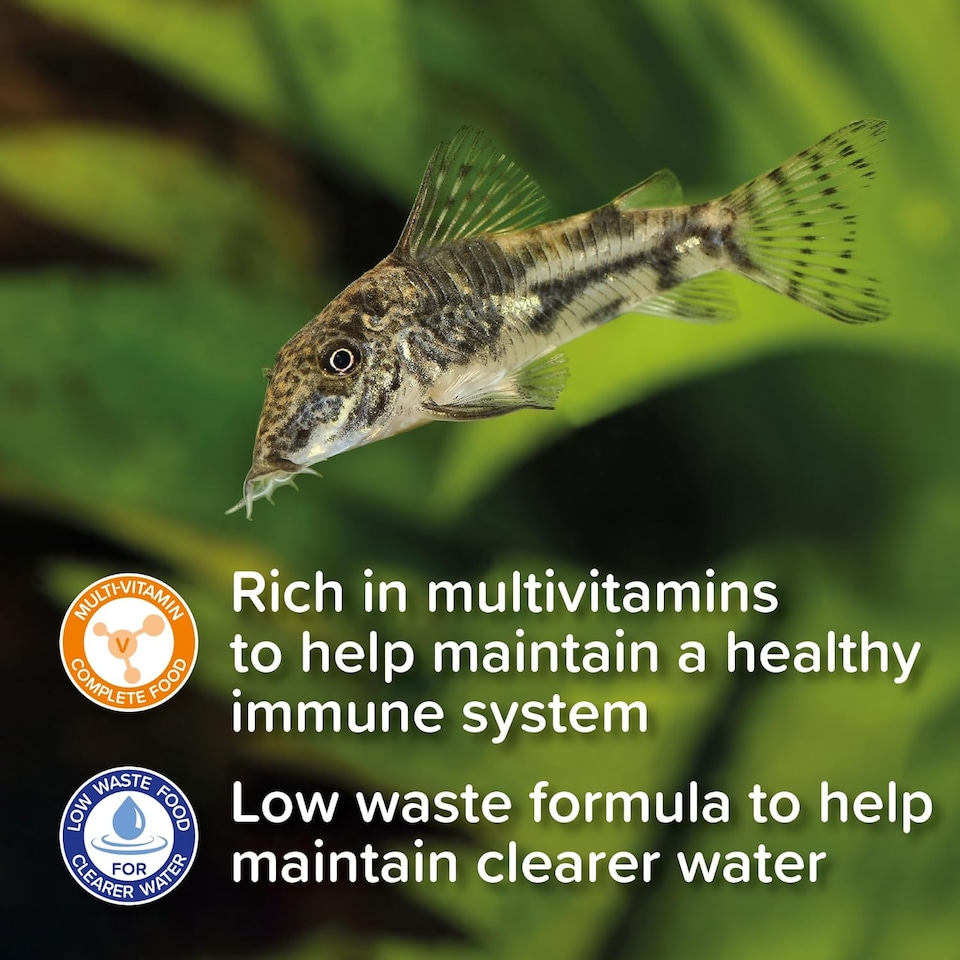 image 1 of King British Catfish Pellets 600g Sized Pack | Brown