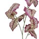 image 3 of 85cm Artificial Purple Leaf Foliage