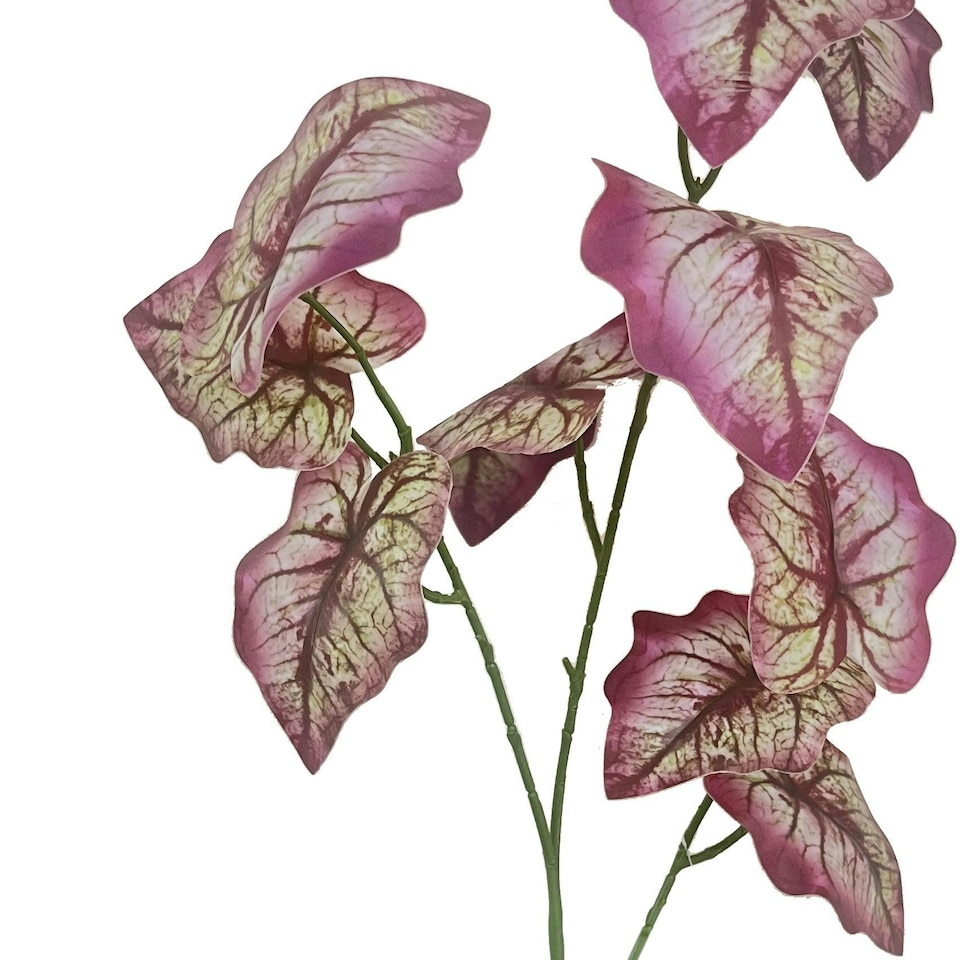 image 1 of 85cm Artificial Purple Leaf Foliage