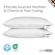 image 3 of Homescapes White Duck Feather Pillow Pair White