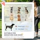 image 3 of PawHut Lightweight Foldable Dog Stroller for Mini Dogs Grey