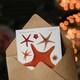 image 3 of Vintage Marine Life Art Card Starfish Species Varieties
